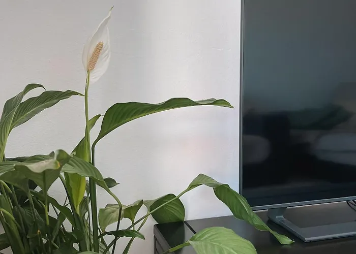 Casa Amar- Vista Panoramica *