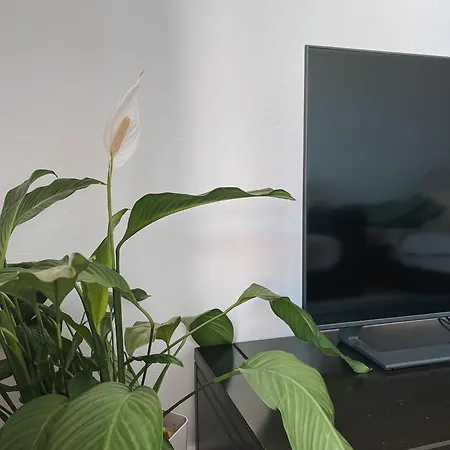 Casa Amar- Vista Panoramica *